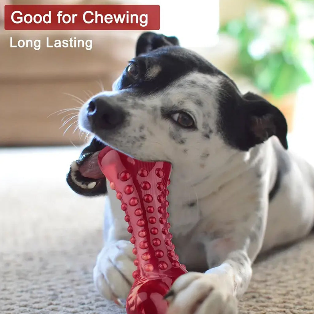 Natural Rubber Chew Toy Suitable For Aggressive Dogs - Durable And Long-Lasting