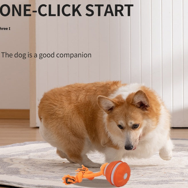 Pet Ball For Dogs Interactive Toys Motion Activate Rolling Ball Automatic Moving Toy USB Rechargeable