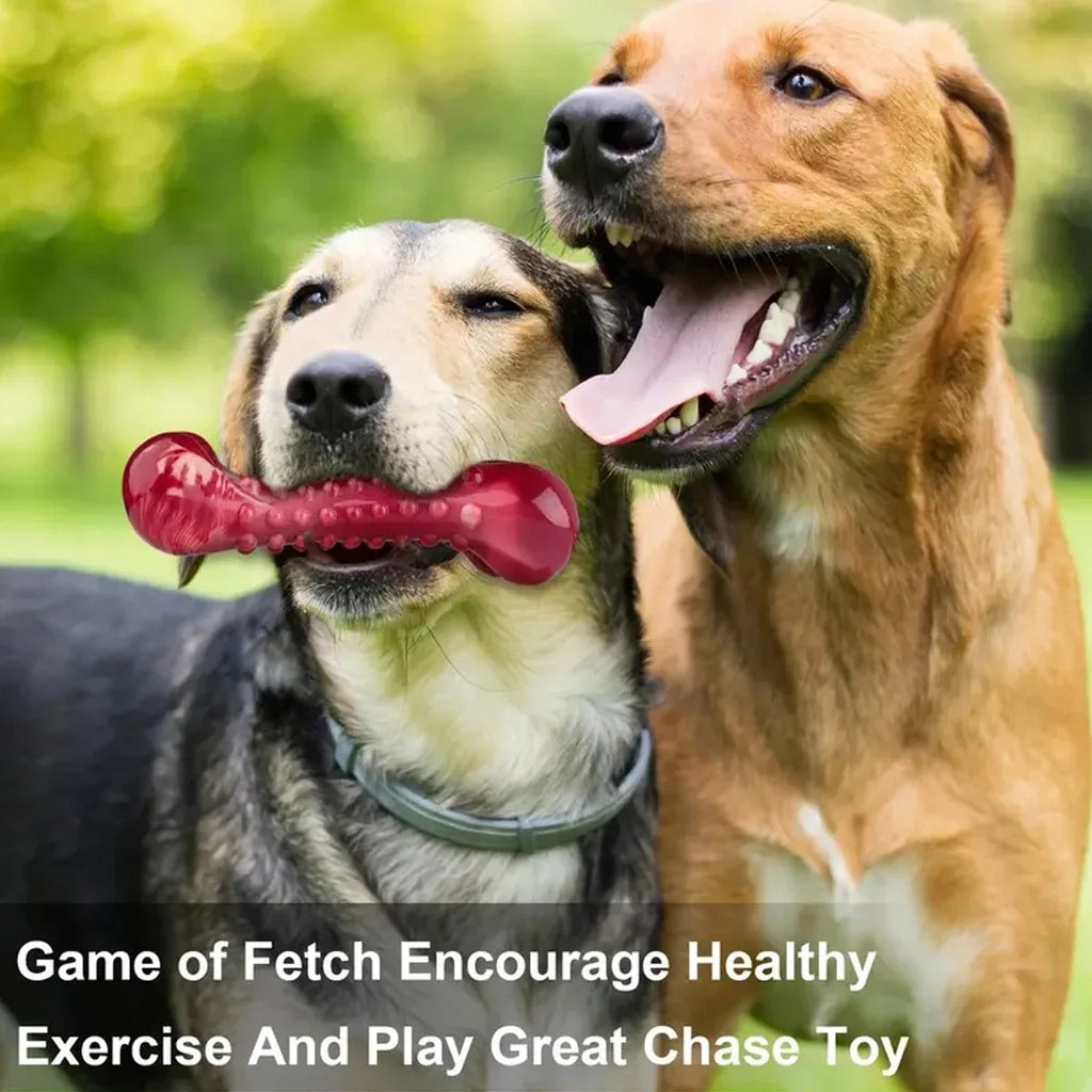 Natural Rubber Chew Toy Suitable For Aggressive Dogs - Durable And Long-Lasting